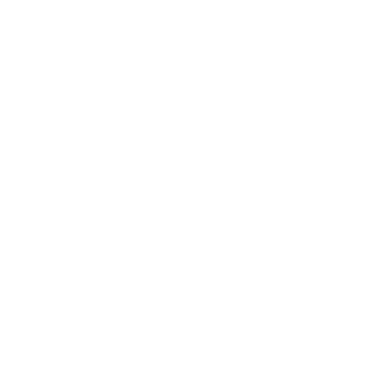 skeagis hosting logo